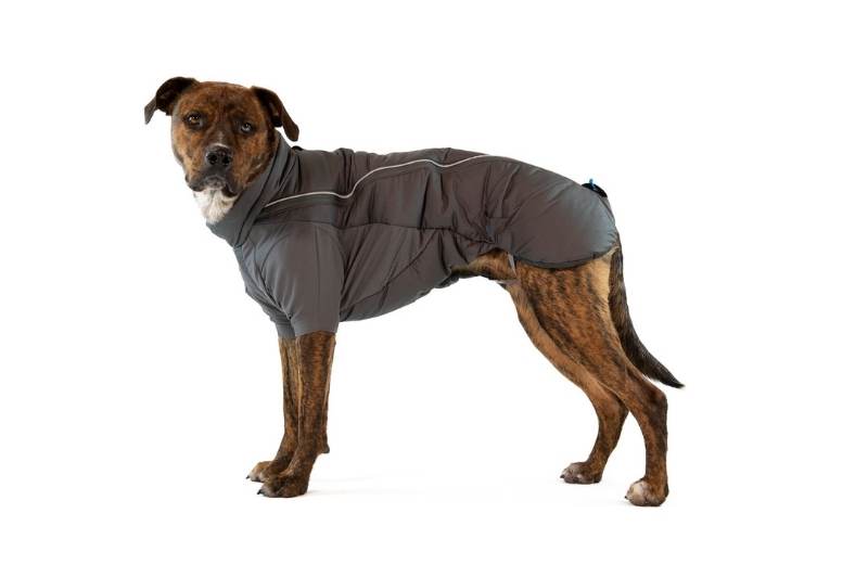 Ruffwear Furness Jacket Hundewintermantel